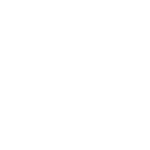 Customer Oriented